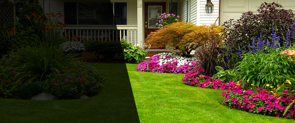 Burley Landscapers