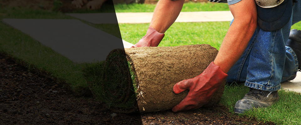 Burley Landscapers